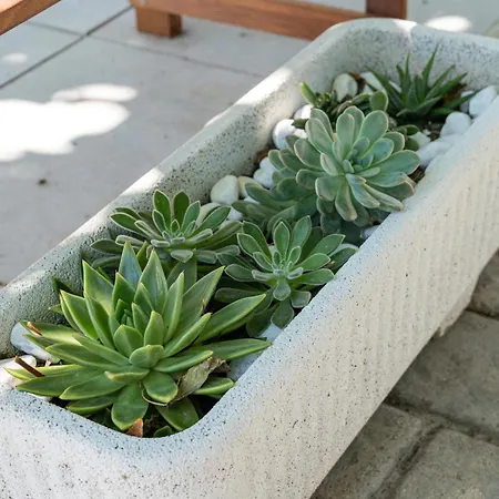 Riserva-la Marea ゲストハウス ヴァスト