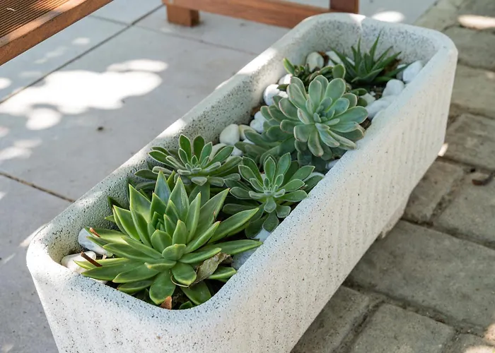 Riserva-la Marea Gasthuis Vasto